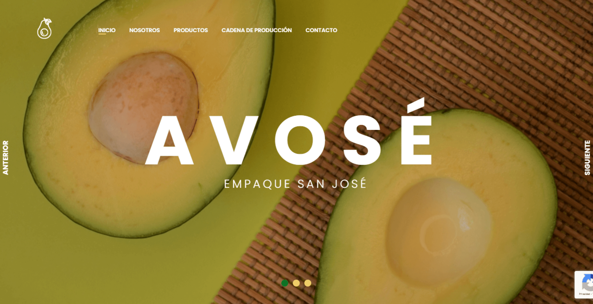 Avose